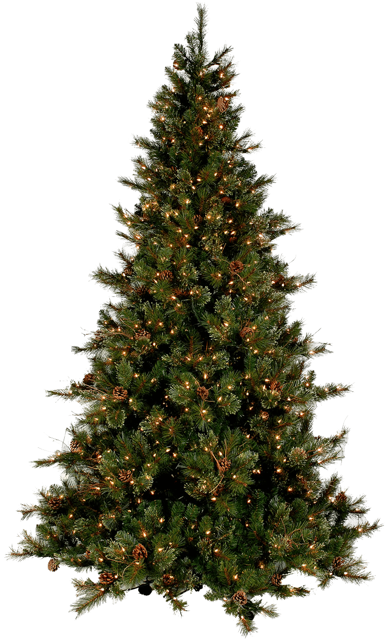 Christmas Tree Modern transparent PNG - StickPNG