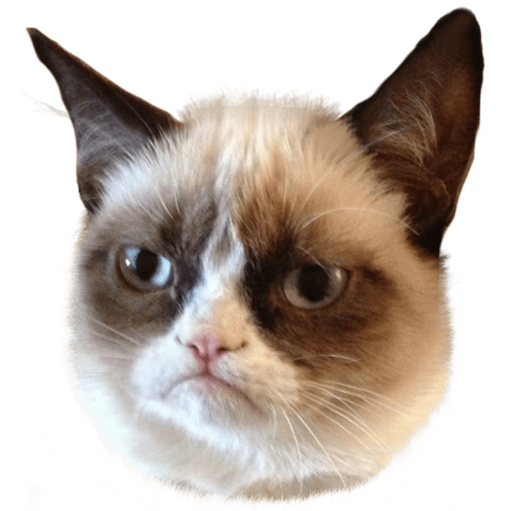 free grumpy cat clip art - photo #45