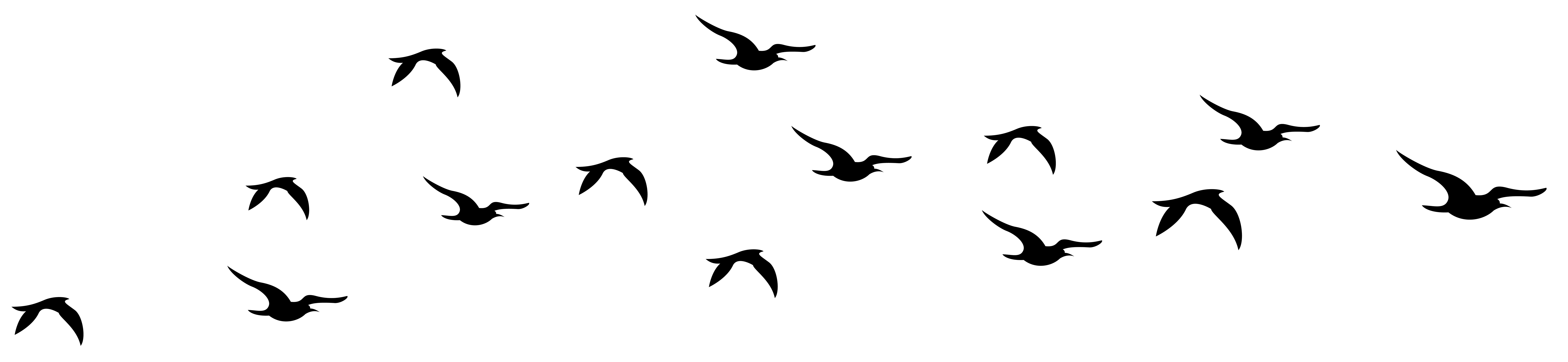 Bird Silhouette Flying Transparent Png Stickpng