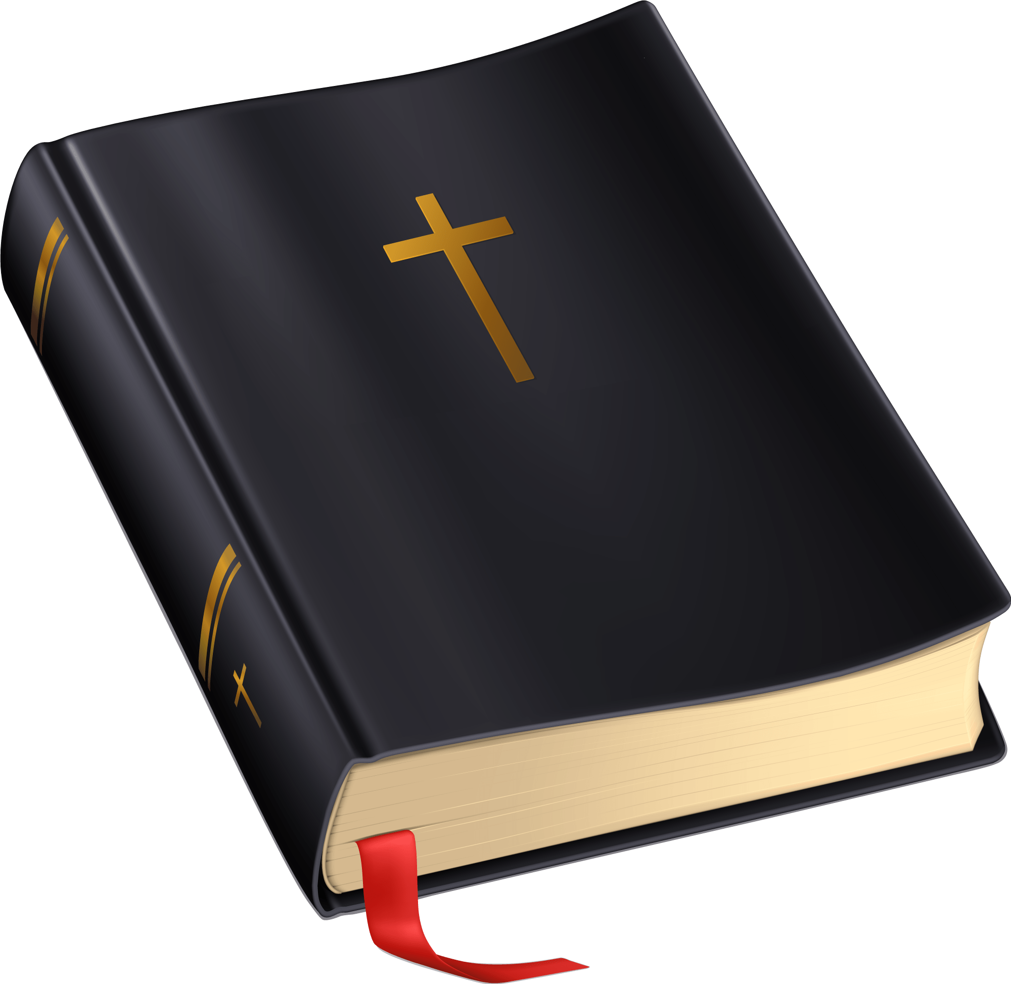 Image result for bible png