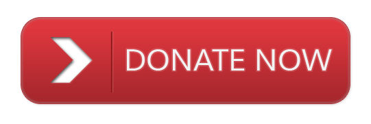Image result for donate now button red
