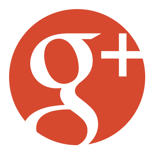 Image result for google plus icon